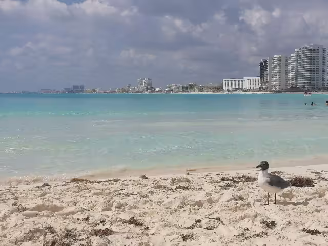 Cancún es el destino turístico más importante de Quintana Roo gracias a sus bellas playas