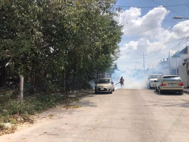 Suman dos nuevos decesos por dengue en Quintana Roo