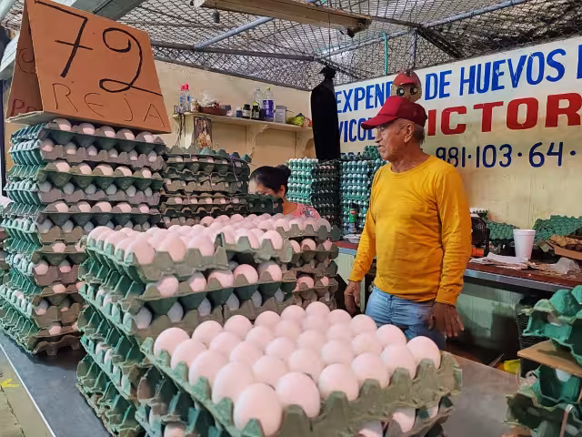 Baja el precio del huevo en Campeche, pero comerciantes alertan posible aumento en diciembre