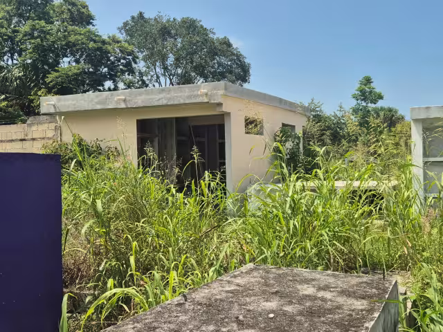 El panteón “La Cruz” se encuentra en total abandono, cubierto de maleza y con proliferación de mosquitos.