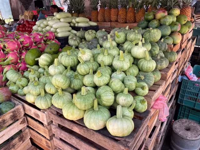 El exceso de producción ha ocasionado una caída en su precio, ya que pasó de 60 hasta los 20 pesos 3 piezas.