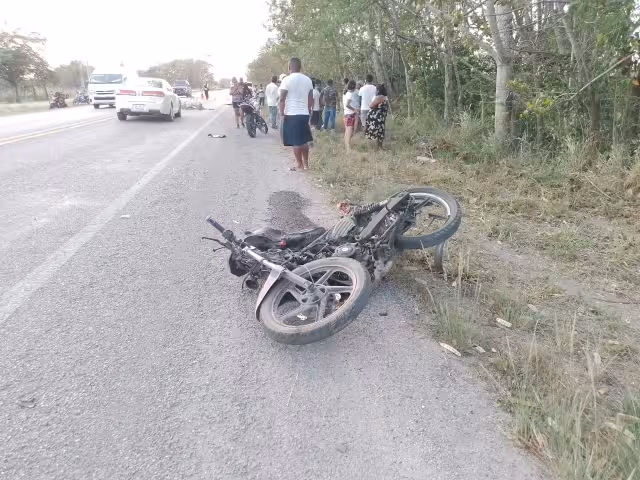 La camioneta se salió de la carretera y se impactó contra un árbol