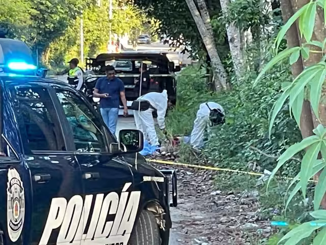 Solidaridad contabiliza 72 homicidios dolosos en lo que va del año