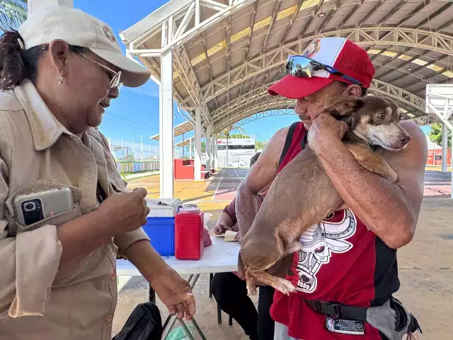 Continúa en Campeche la campaña permanente de vacunación antirrábica canina y felina este jueves 18 de diciembre.
