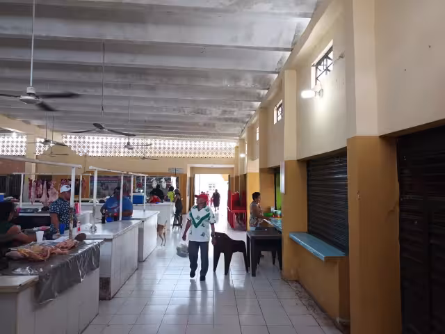 Comerciantes aseguran que el Alcalde de Dzidzantún no se ha preocupado por impermeabilizar el mercado