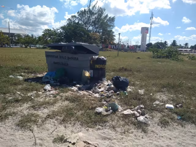 Los desechos están afectando a la flora y fauna de la Reserva de la Biosfera Ría Lagartos