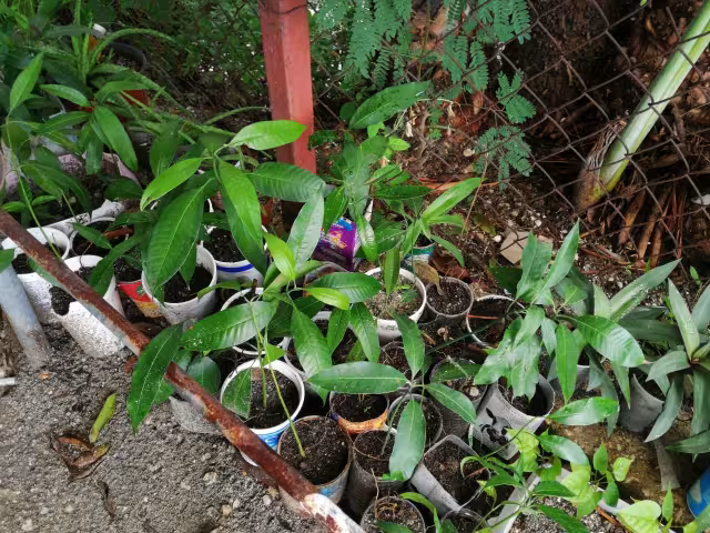 FOTO: Irene Barradas