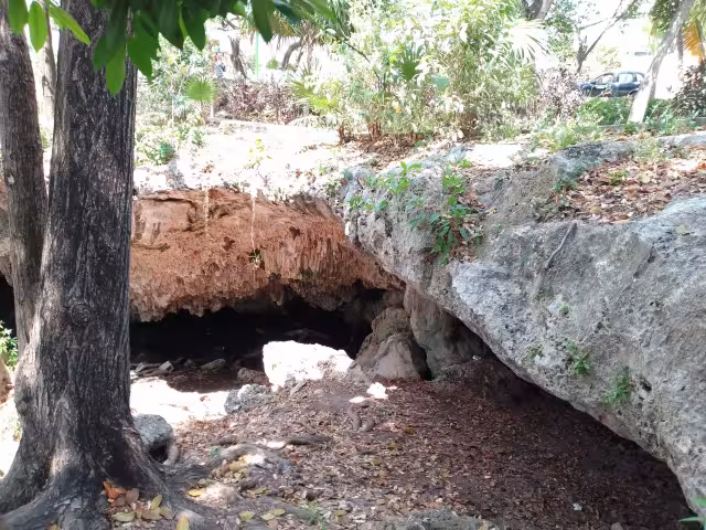 Dos días luego de ser limpiado, volvió a estar sucio
