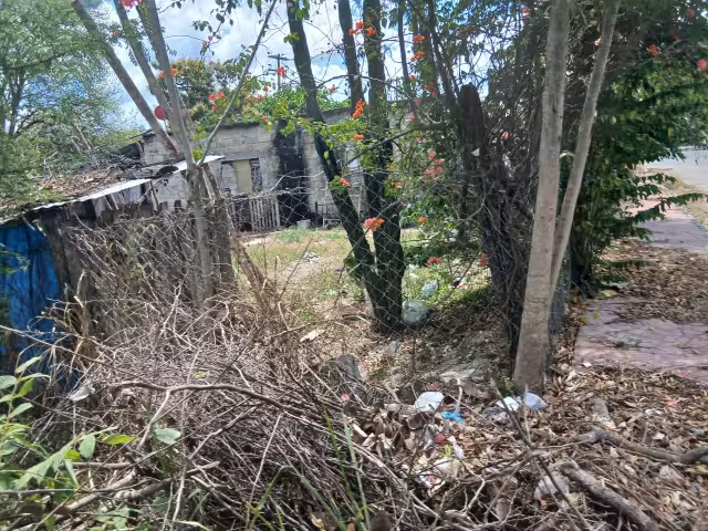 Roban tres pavos y una bicicleta en Escárcega; vecinos se quedan sin caldo