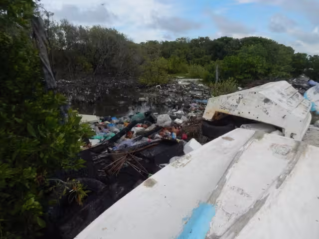 Foto: Irene Barradas