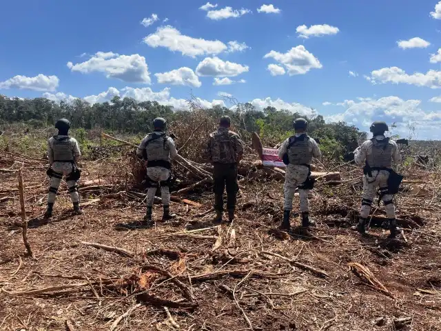 Clausuran 52 hectáreas en Champotón por cambio ilegal de uso de suelo.
