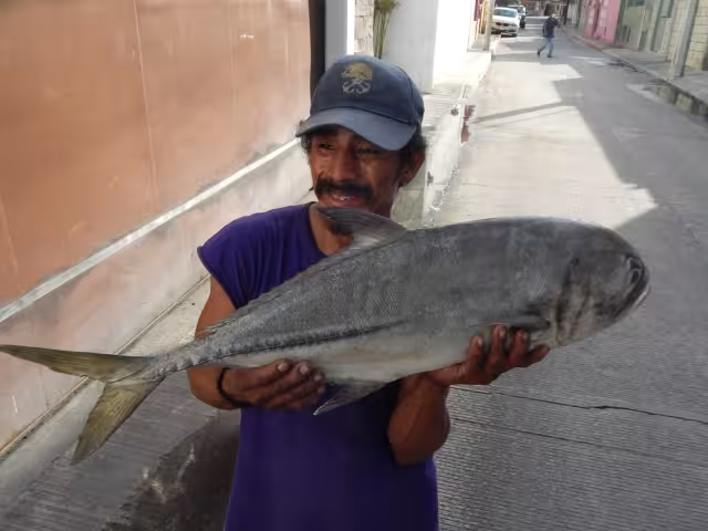 Foto: Irene Barradas