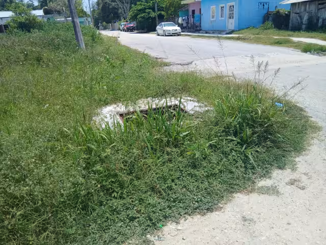 Vecinos de la colonia Concordia denuncian falta de alumbrado público y drenajes obstruidos.
