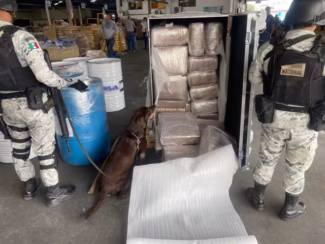 Al lugar acudieron los elementos de dicha autoridad acompañados de caninos para llevar a cabo una revisión