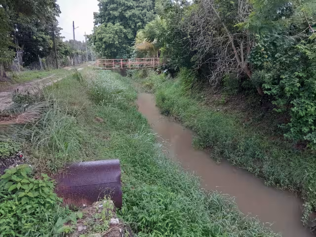 Los habitantes de la ciudad han sentido las precipitaciones pluviales provocadas por el huracán