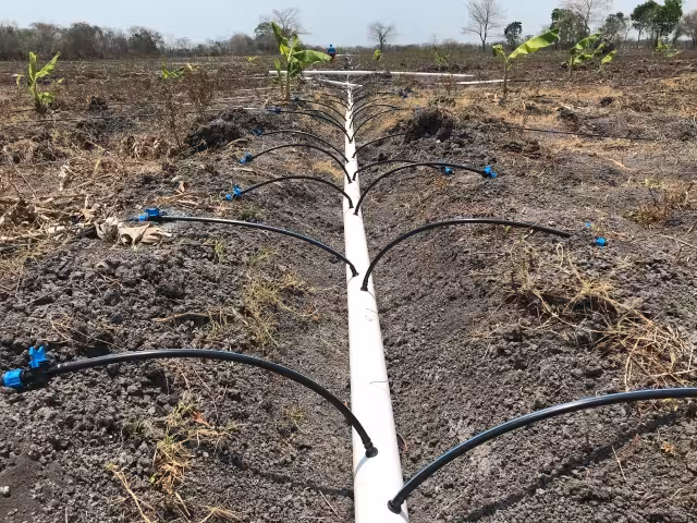 Existen proyectos que no se han terminado debido a que el gobierno del Estado no ha contribuido con la parte que le corresponde