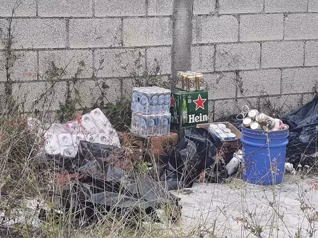 Fotos: José Pacheco