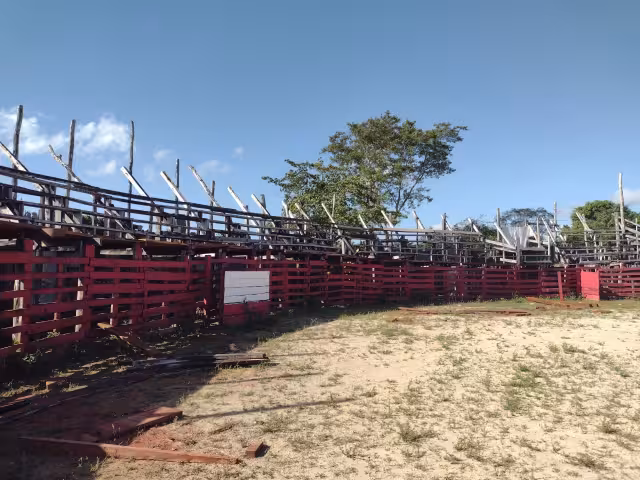 Hasta el momento toda la organización de esta feria popular continúa en pie, sin ningún problema