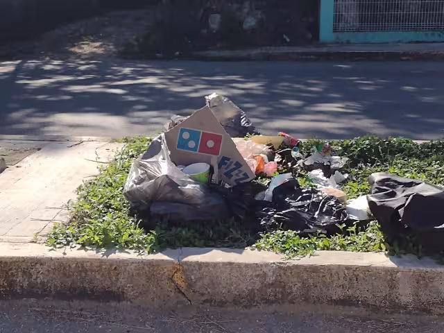 Al día se genera un promedio de 70 a 90 toneladas de basura, en por lo menos 15 colonias de la ciudad