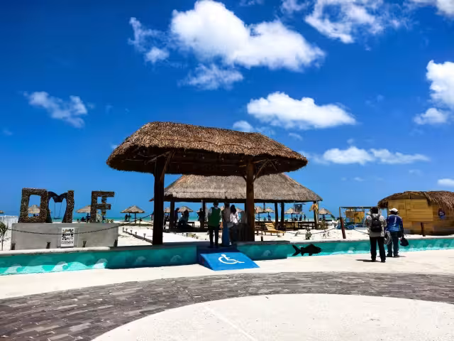 Todas cuentan con sillas anfibias, rampas, baños adaptados y personal capacitado.