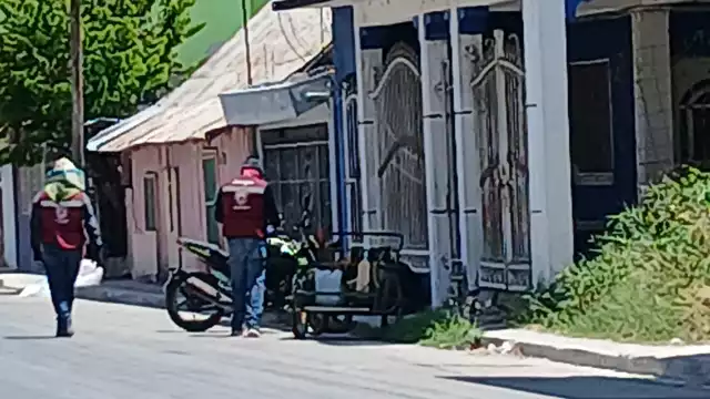 Un enjambre de abejas atacó a varias personas en la colonia Salsipuedes de Escárcega.