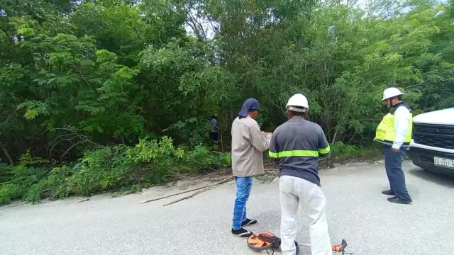 Justicia eléctrica para comunidades de Hopelchén