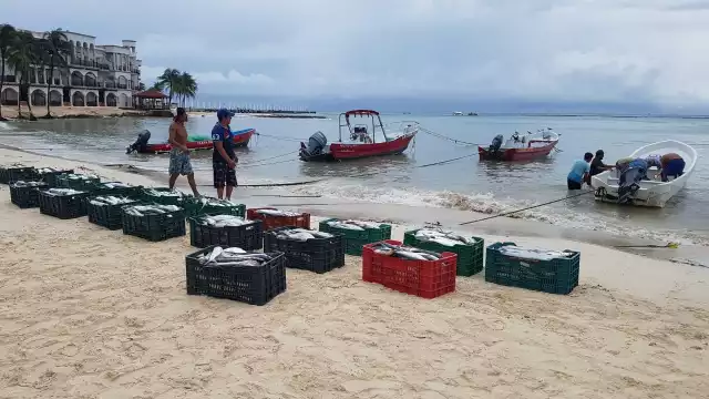 Quintana Roo contabilizó 21 mil 959.95 toneladas de productos del mar, el más bajo de la Península de Yucatán, según Conapesca