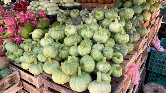 El exceso de producción ha ocasionado una caída en su precio, ya que pasó de 60 hasta los 20 pesos 3 piezas.