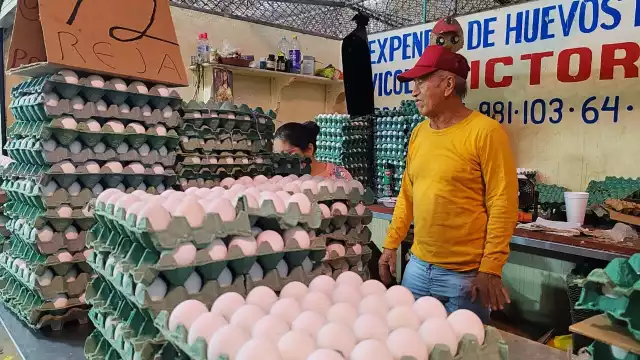 Baja el precio del huevo en Campeche, pero comerciantes alertan posible aumento en diciembre