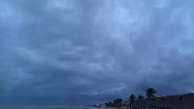 FOTOS: Alejandro Colli