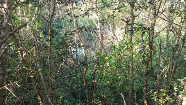 Las sascaberas surgen en las excavaciones para sacar material de sascan