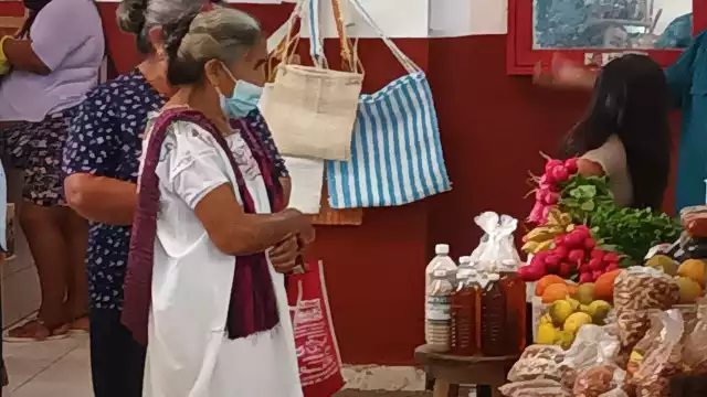 Los adultos mayores manifestaron que sus ingresos económicos ya no rinden como hace cinco años