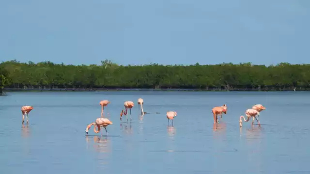El Litoral Oriente de Yucatán es famoso por sus paisajes