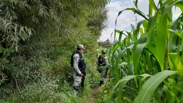 Encuentran toma clandestina para sustracción de hidrocarburo en Puebla