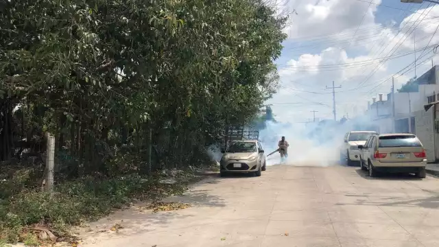 Suman dos nuevos decesos por dengue en Quintana Roo
