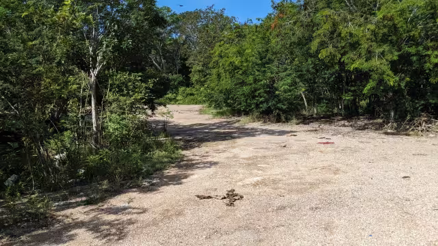 Ambas personas son vecinas de la cabecera municipal