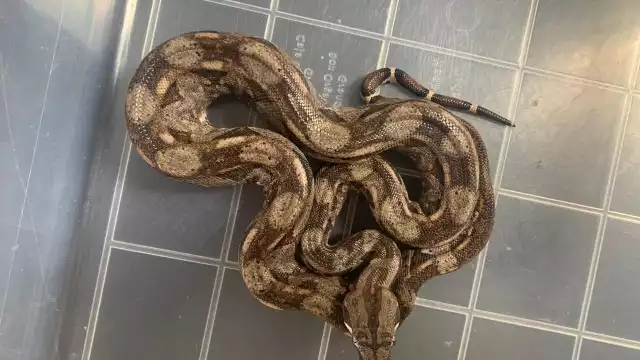 FOTO: Ya'ax Kaan Yucatán