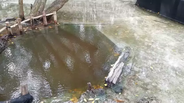 FOTOS: Cultur Yucatán