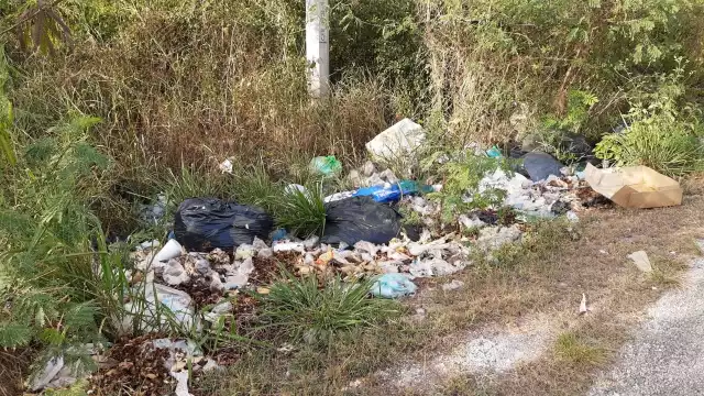 Con basura y maleza es como luce esta infraestructura