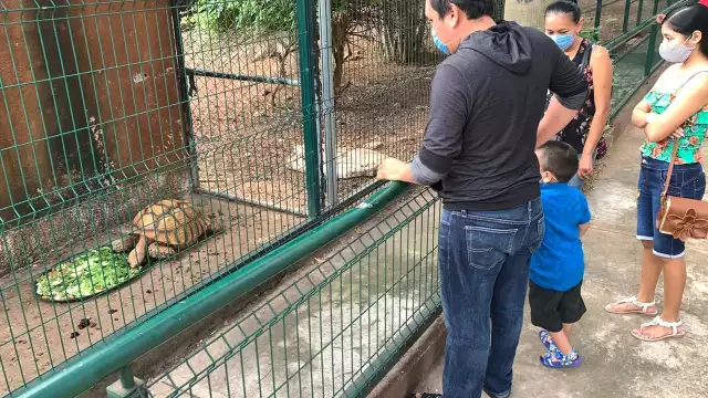 Foto: Edwin Aguilar Loeza