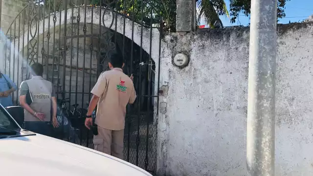 Elementos de la Profepa acudieron para su rescate y posterior reubicación