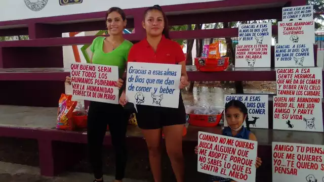 Ante la proliferación de fauna callejera, grupos protectores de animales iniciaron esta campaña