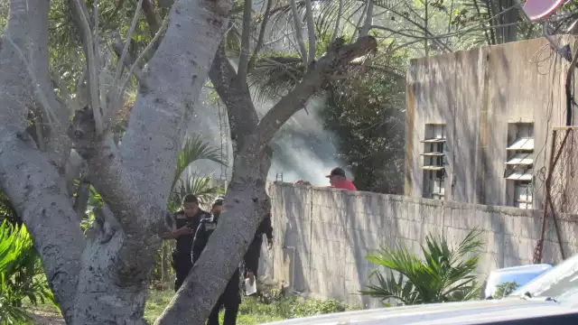 El incendio dejó una mascota sin vida