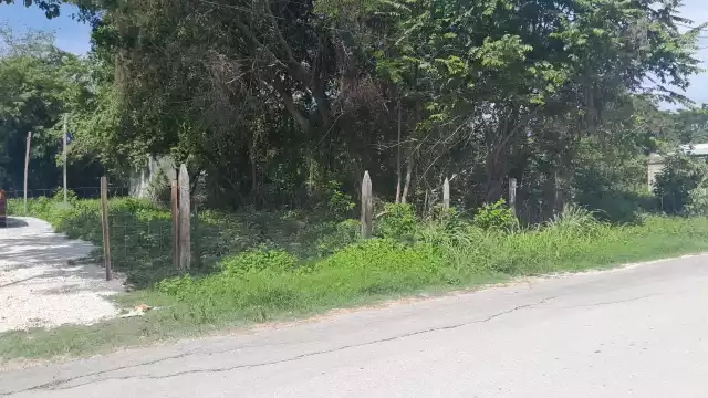 Fueron tres hombres que aun no han sido identificados