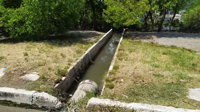 FOTOS: Juan Carlos García Vaughan