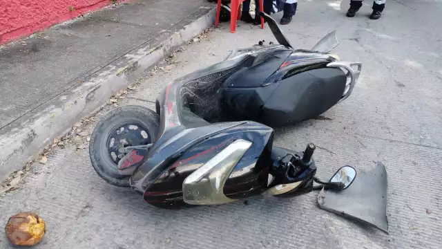 FOTOS: José Pacheco