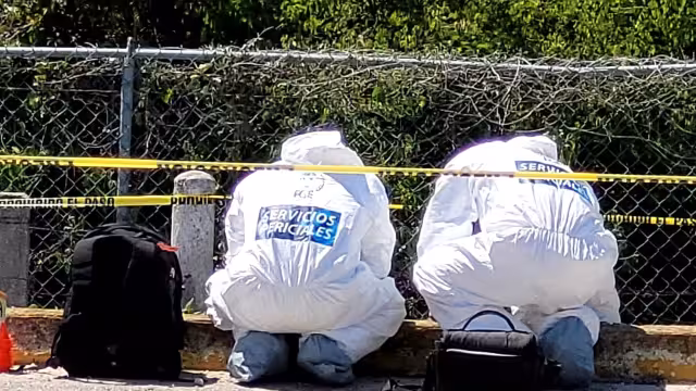 Entre las víctimas hay ocho mujeres, un menor, un taxista y un expolicía ministerial