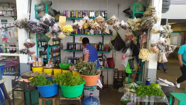 Entre los productos que más se venden en esta temporada se encuentran el epazote, ajo y el achiote Foto: Irene Barradas