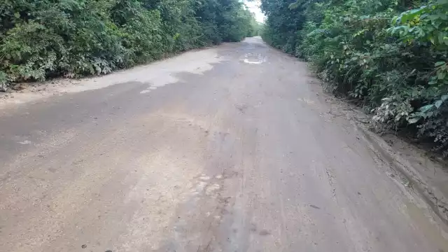 Piden al Gobierno estatal voltear a ver las necesidades de los habitantes.