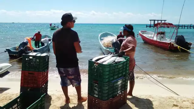 Son unas 10 embarcaciones las que saldrán diariamente con aproximadamente 50 pescadores